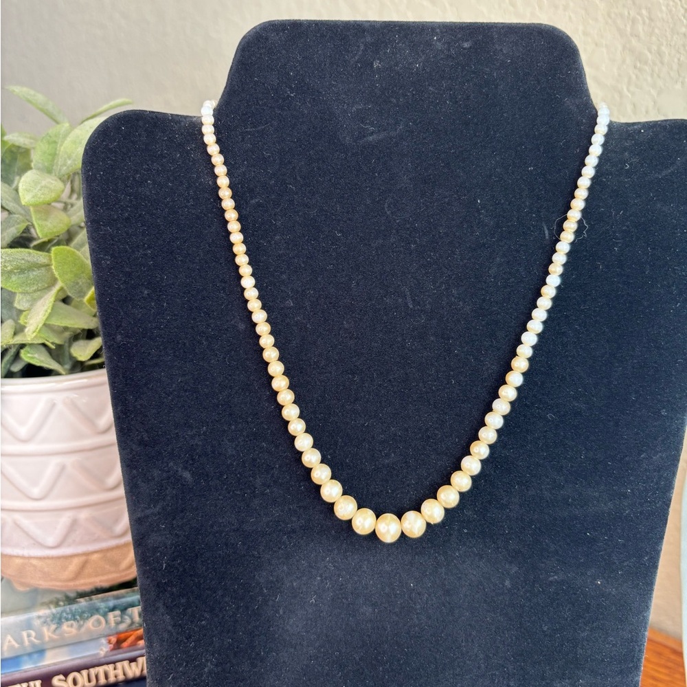 Classy Cream Graduated Pearl Necklace